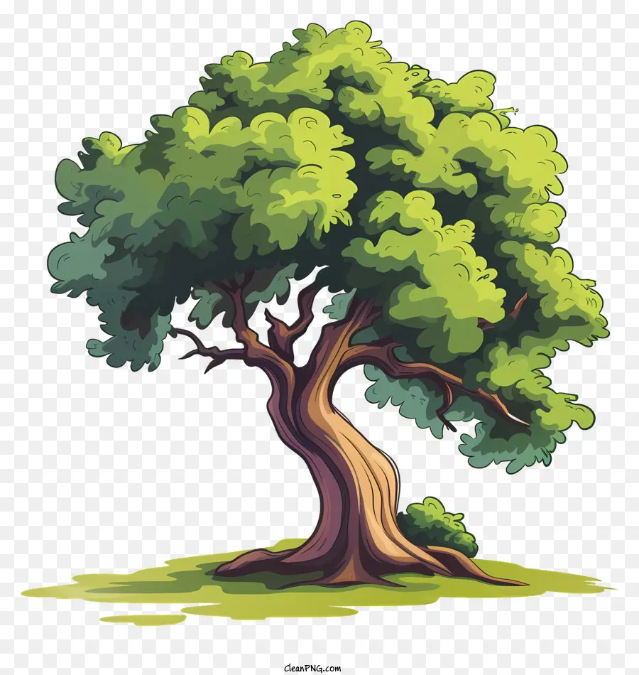 شجرة，الحقل الأخضر PNG