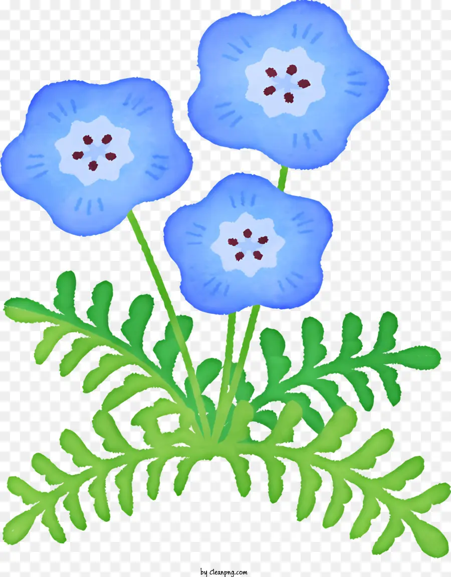زهرة الأنيقة الأنيقة，الزهور الزرقاء PNG