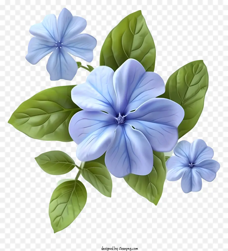 زهرة الأنيقة الأنيقة，الزهرة الزرقاء PNG