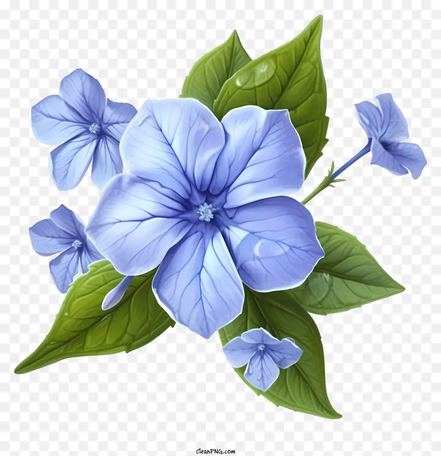 زهرة الأنيقة الأنيقة，الزهرة الزرقاء PNG