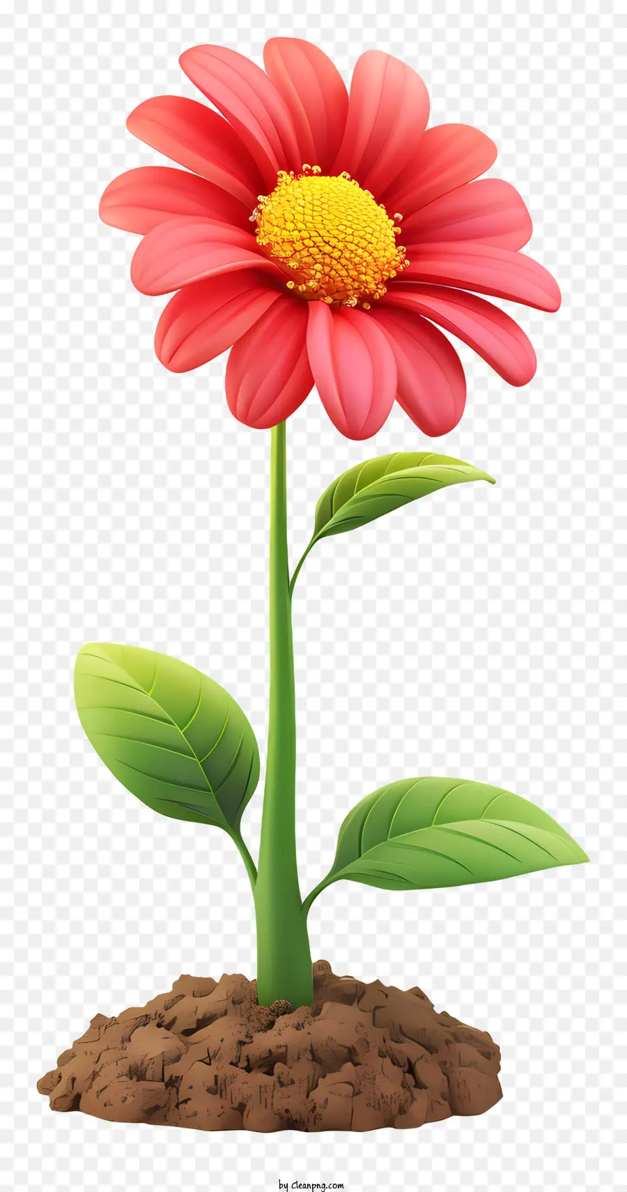 زرع يوم زهرة，زهرة الوردي PNG