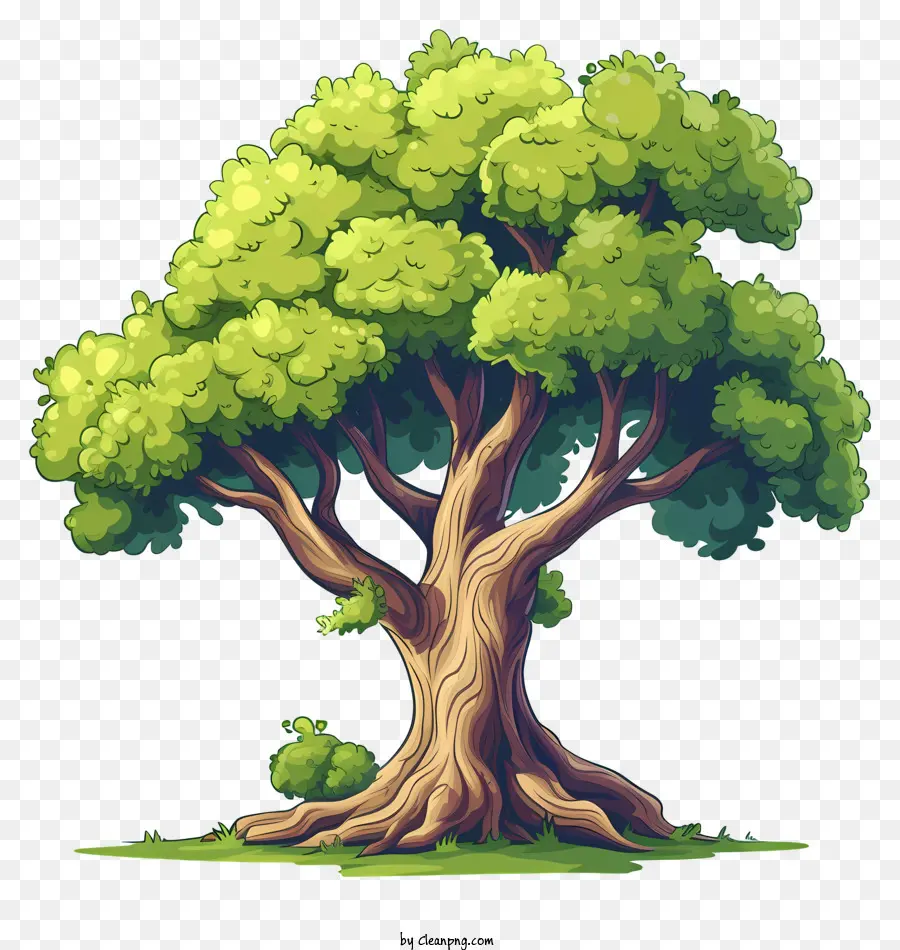 شجرة，الغابات PNG