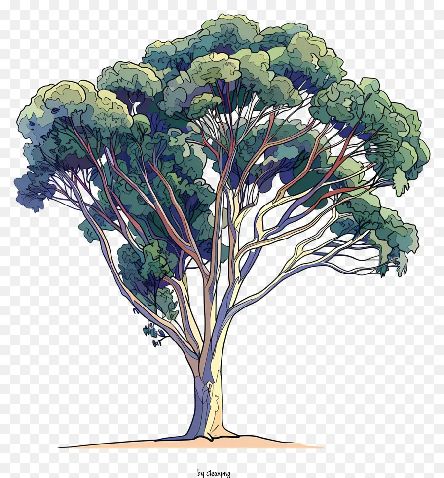 شجرة，الغابات PNG