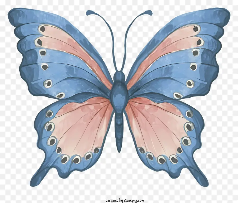 فراشة，الفراشة الزرقاء PNG