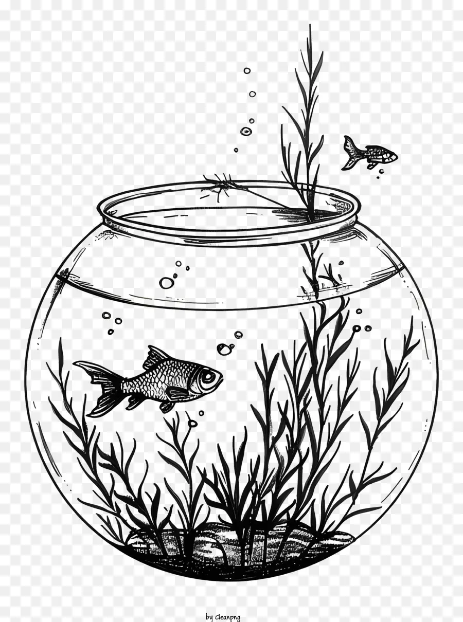 وعاء السمك，مشهد غريب تحت الماء PNG