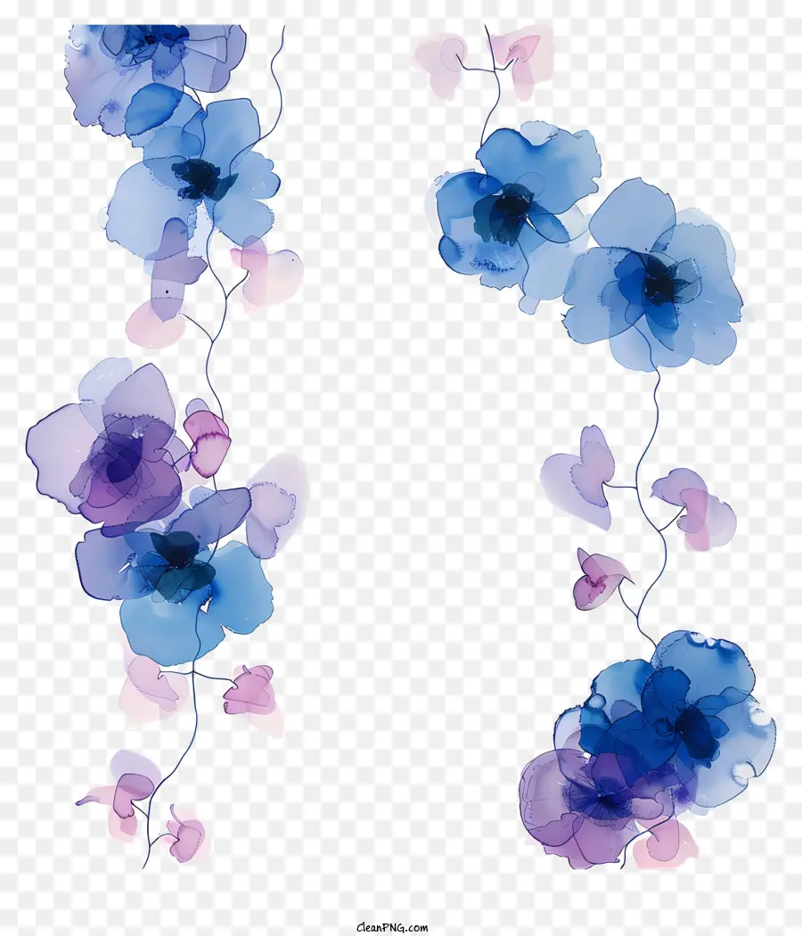 زهرة أزرق كرمة，ألوان مائية PNG