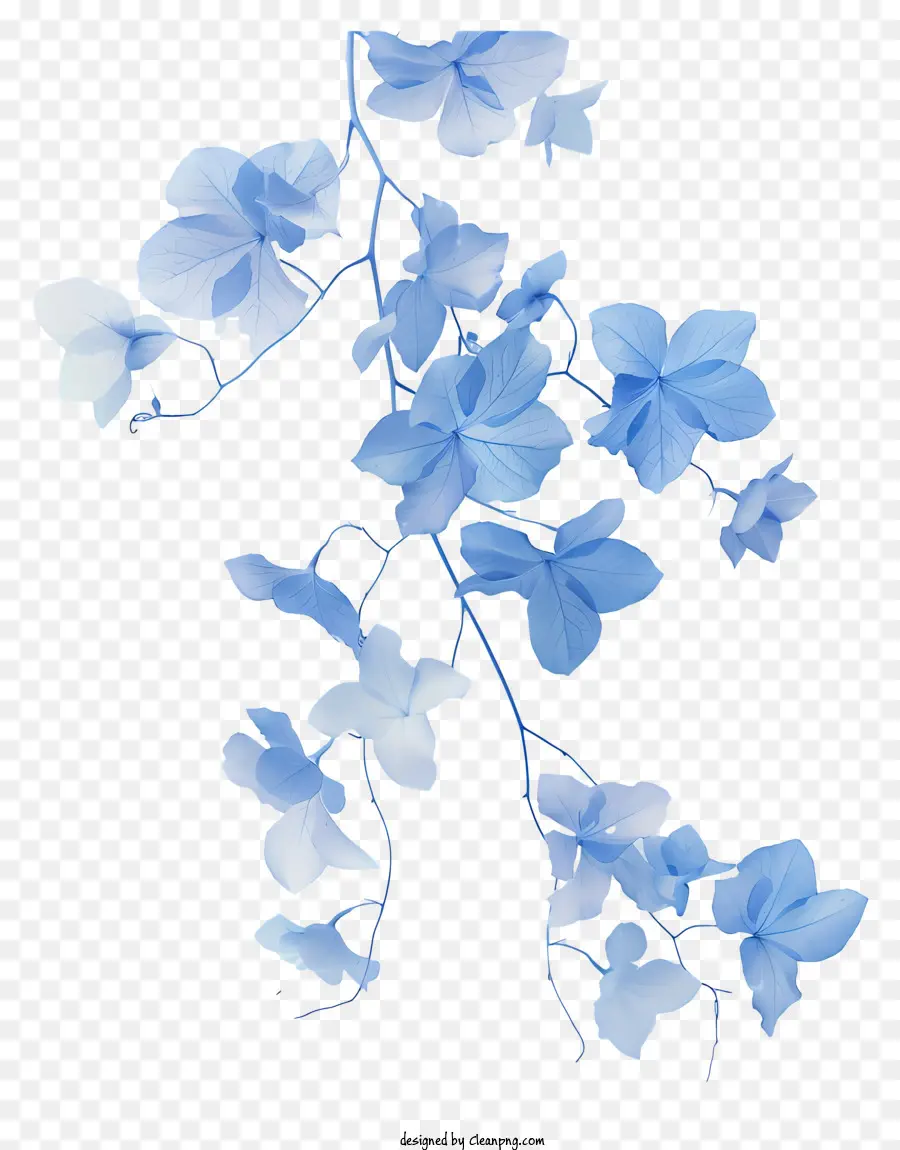 زهرة أزرق كرمة，الزهور الزرقاء PNG