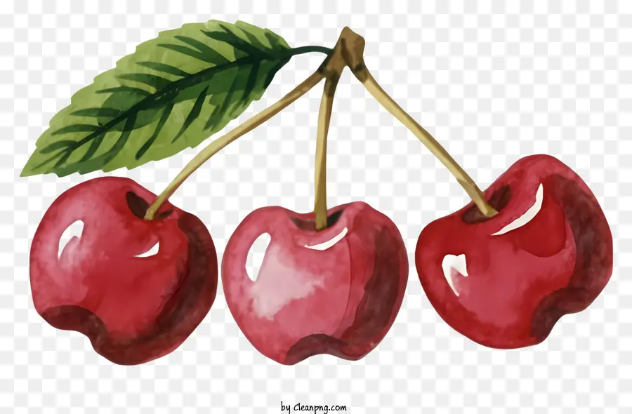 التفاح الأحمر，الرسم بالألوان المائية PNG