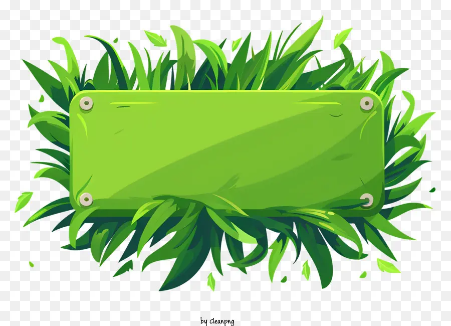 العشب الأخضر，الأعشاب PNG