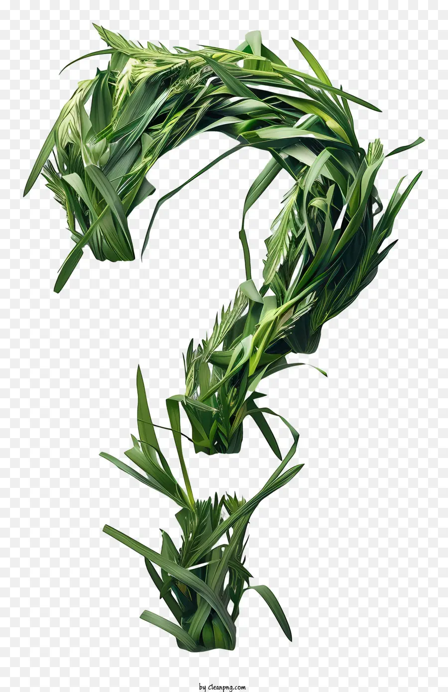 علامة استفهام，العشب الأخضر PNG