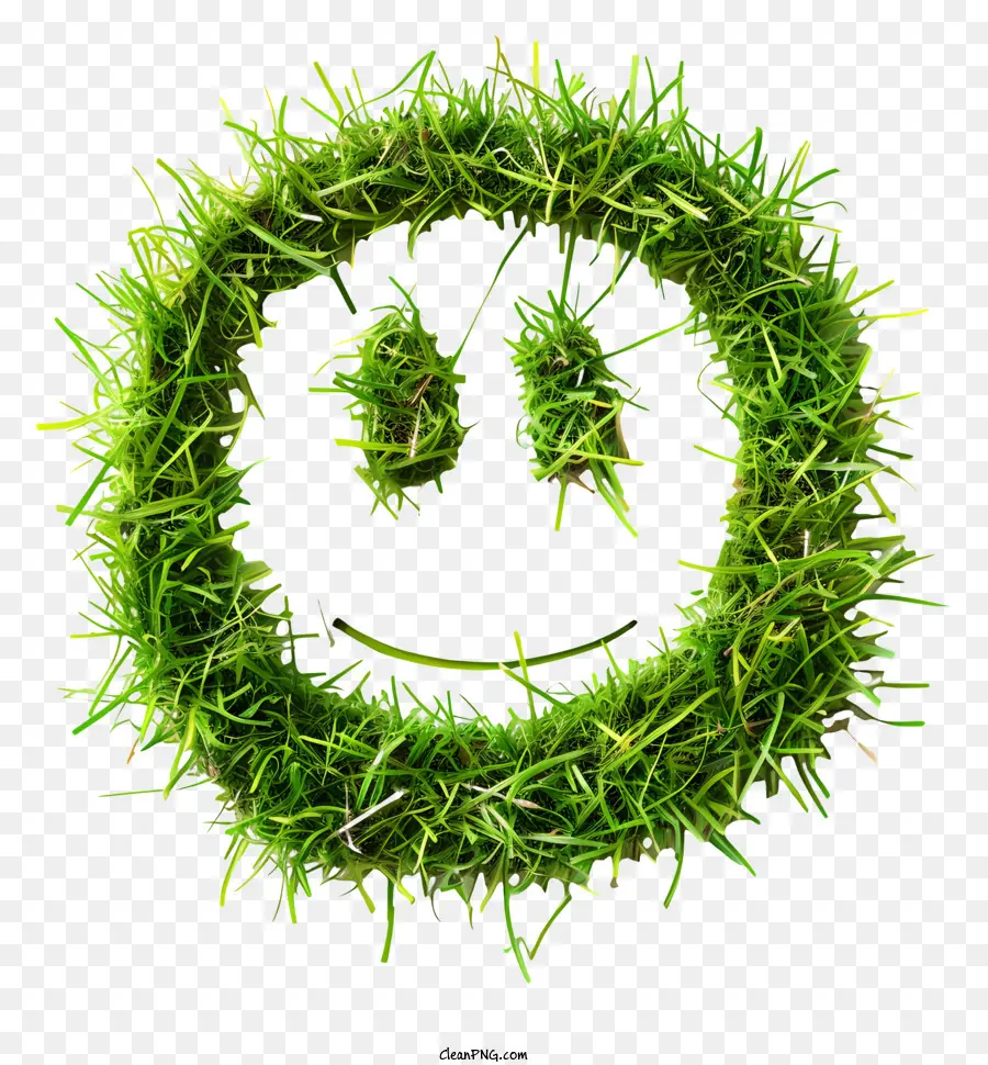 وجه مبتسم，إكليل العشب يبتسم PNG