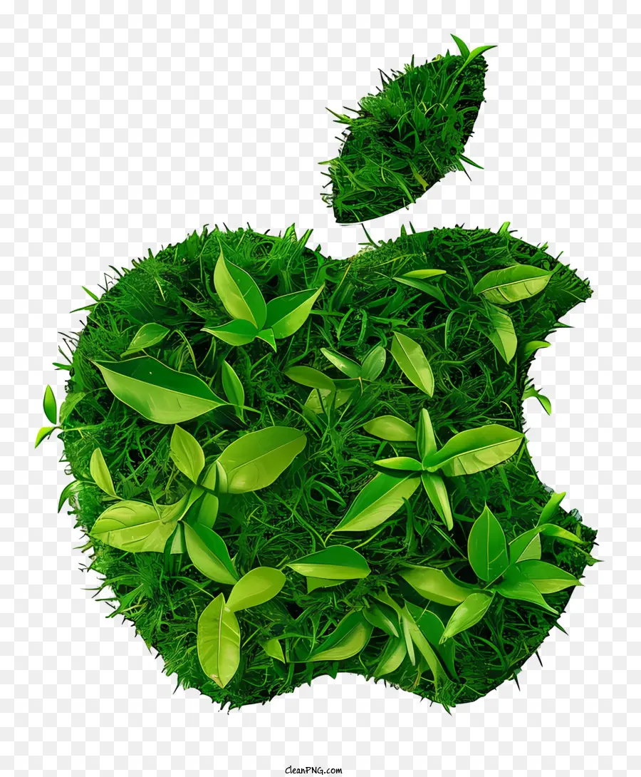 شعار أبل，التفاح الأخضر PNG
