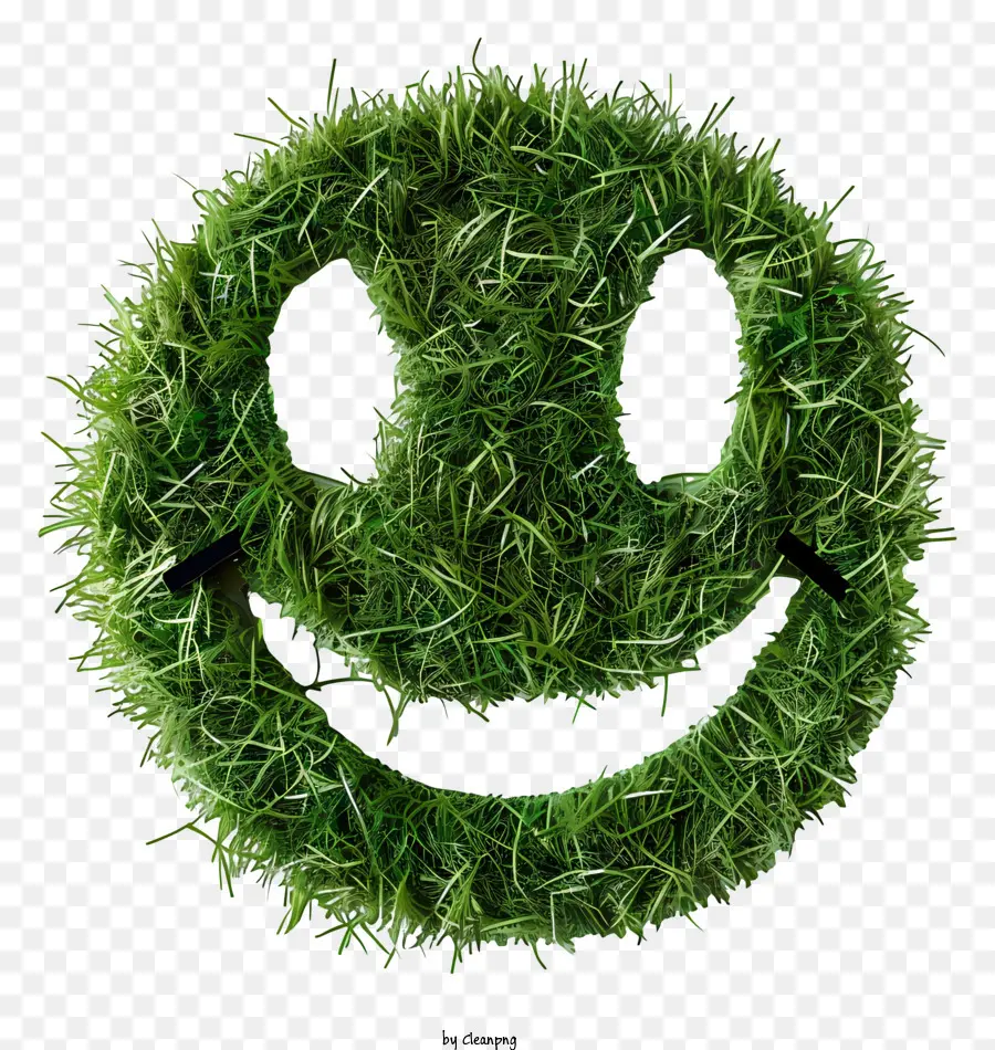 وجه مبتسم，العشب الأخضر PNG