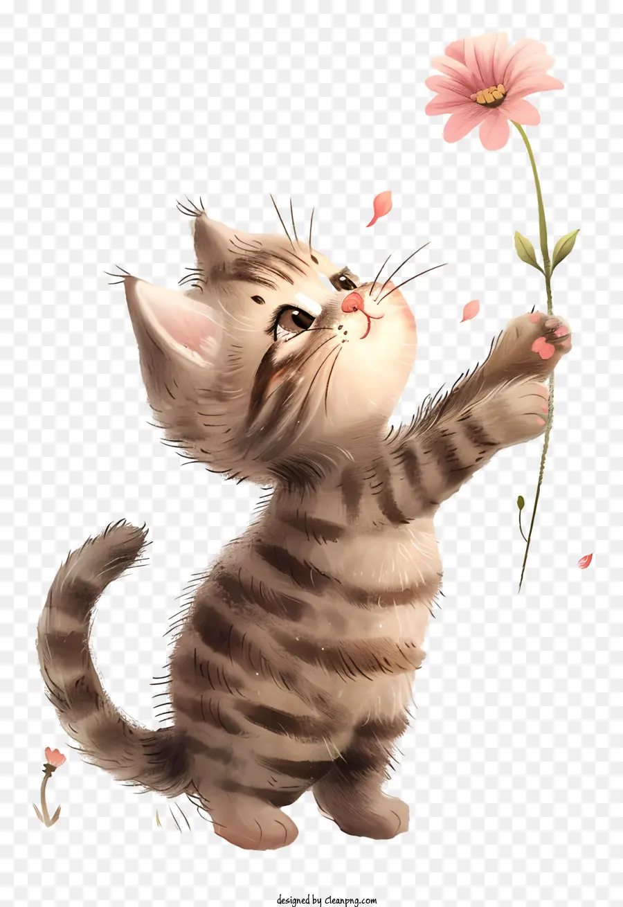 قطة صغيرة تلعب الزهور，هريرة PNG