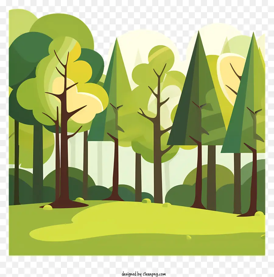 اليوم الدولي للغابات，الغابات PNG