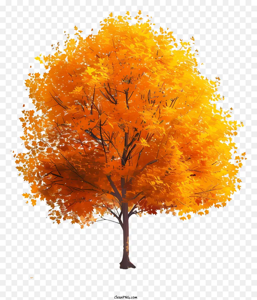 شجرة القيقب الصفراء，شجرة البرتقال PNG