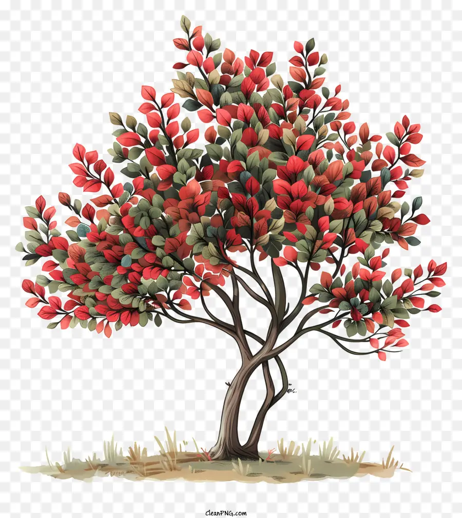شجرة الخريف，الأوراق الحمراء PNG