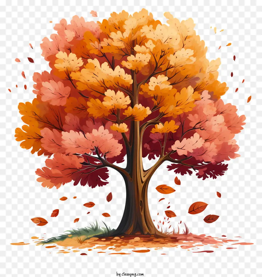 شجرة الخريف，الخريف PNG