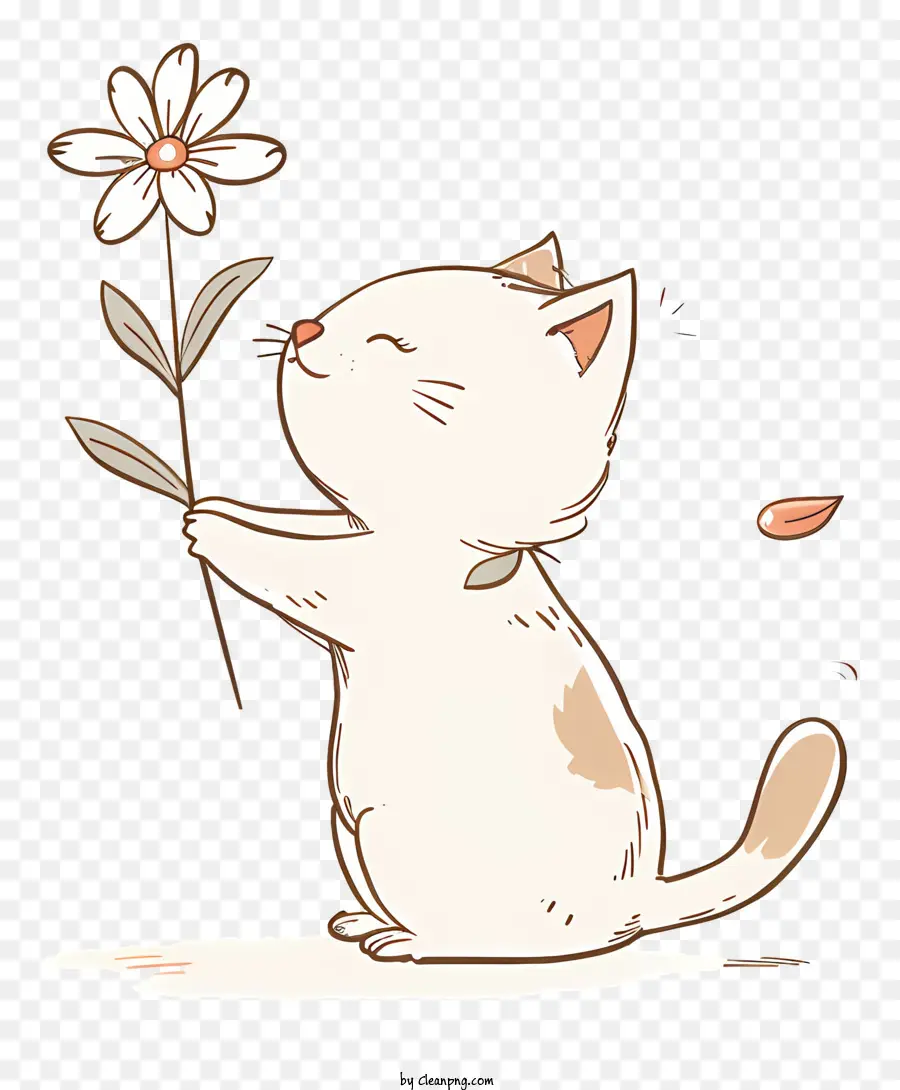 القط يلعب الزهور，القط الأبيض PNG