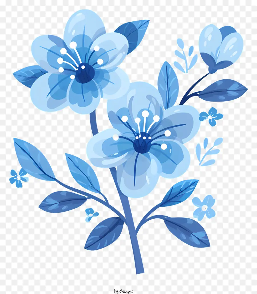 الزهور الزرقاء，الزهرة الزرقاء PNG