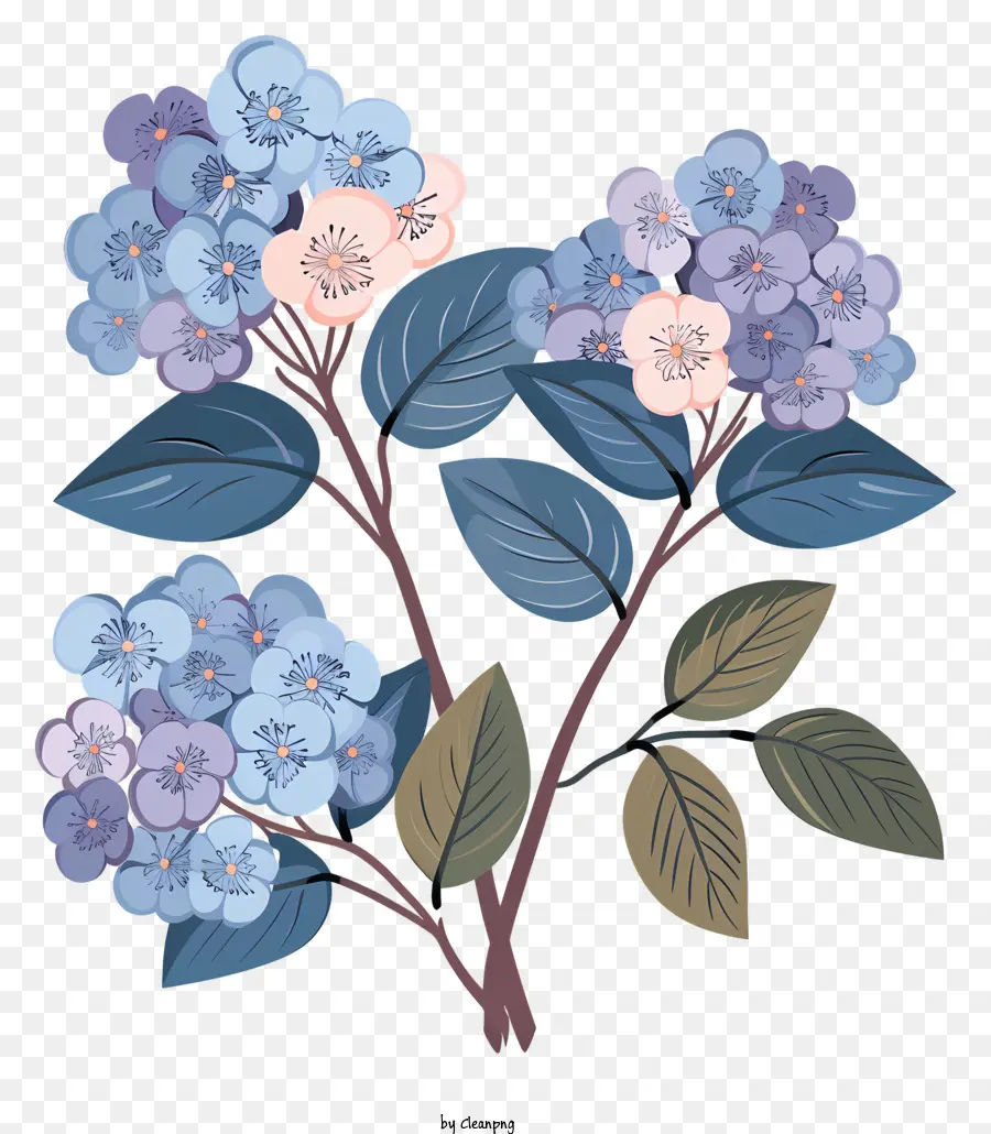 الكوبية，الزهور الزرقاء PNG