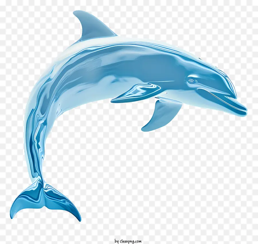 يوم الدلفين，الدلفين الأزرق PNG