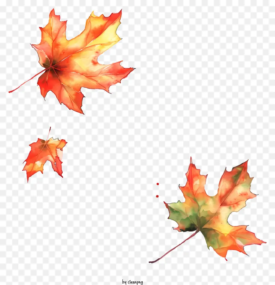 أوراق الخريف，سقوط ورق النبتة PNG