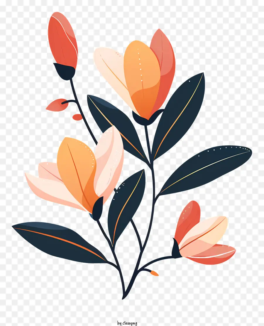 زهور ماغنوليا，زهرة PNG