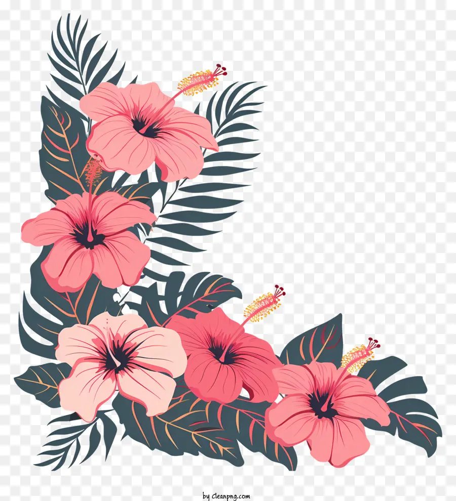 زهور الكركديه，الوردي الكركديه PNG