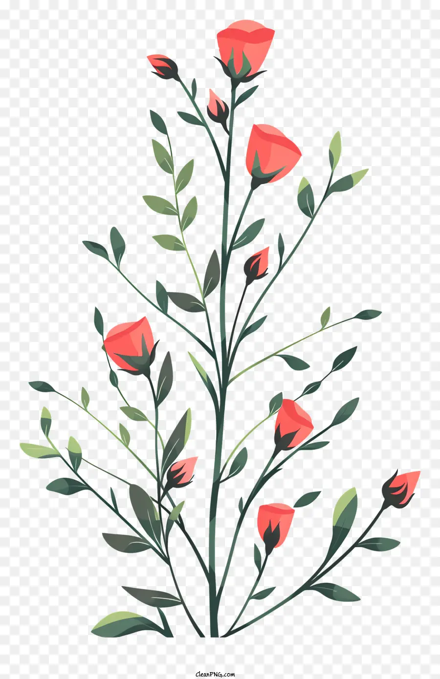 فروع براعم الورد，الزهور الوردية PNG