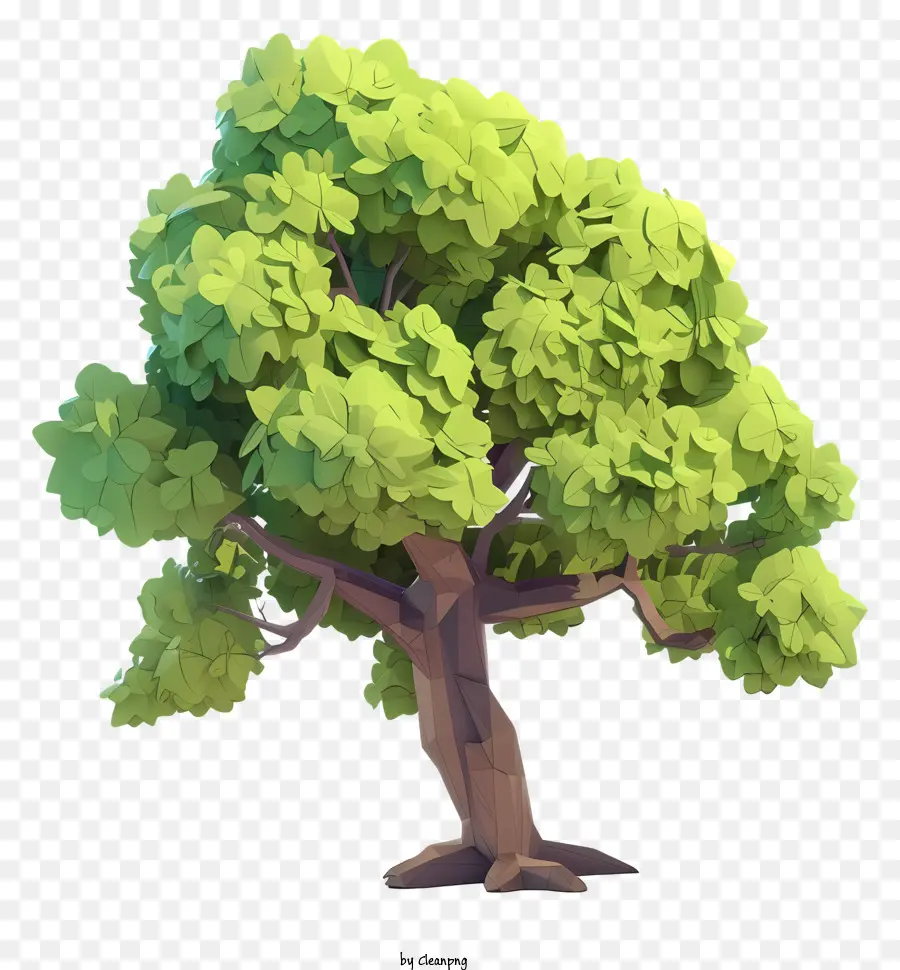 شجرة البلوط 3d，شجرة PNG