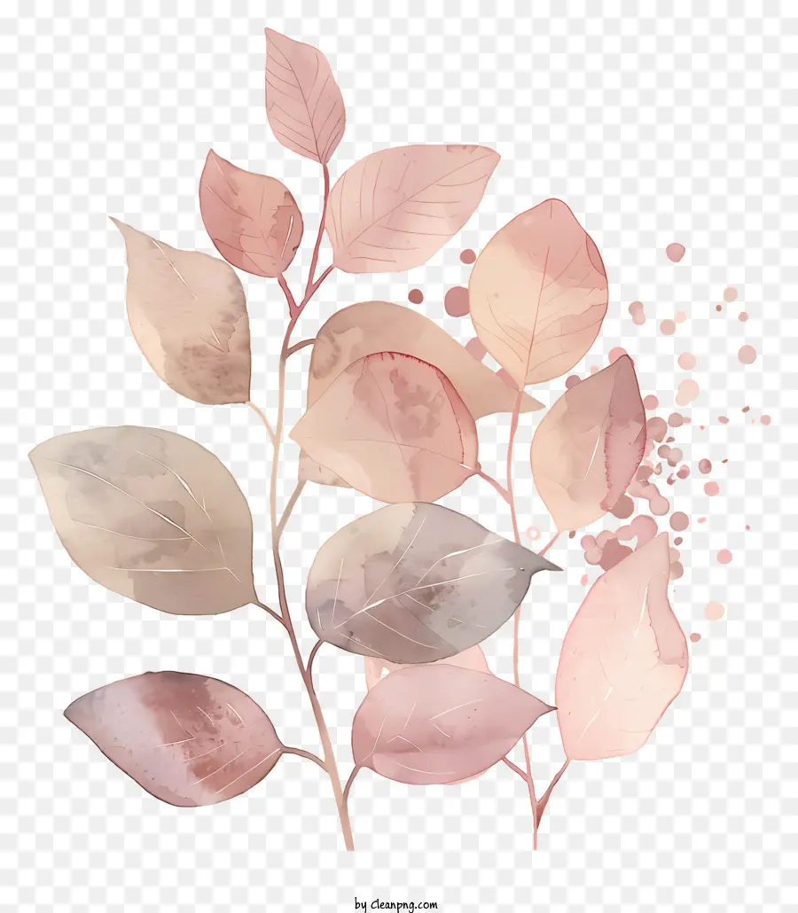 أوراق الخريف，ألوان مائية التوضيح PNG
