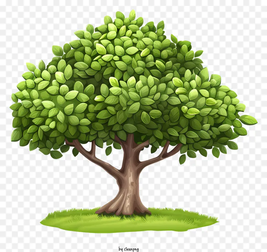 يوم الشجرة，فروع شجرة PNG