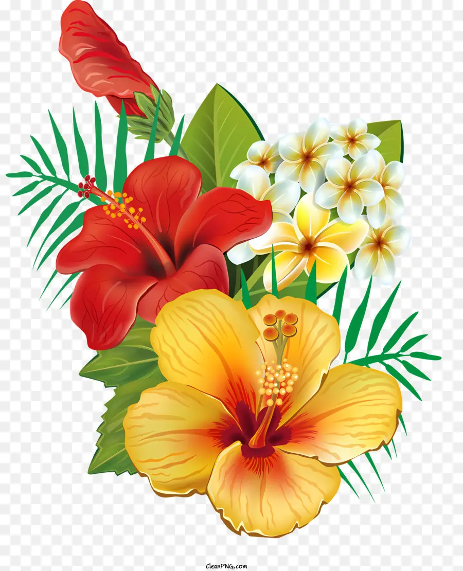 الزهور，زهرة PNG