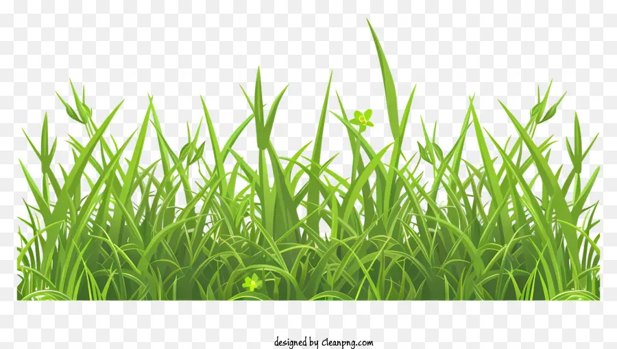 الحدود العشب الربيعي，العشب الأخضر PNG