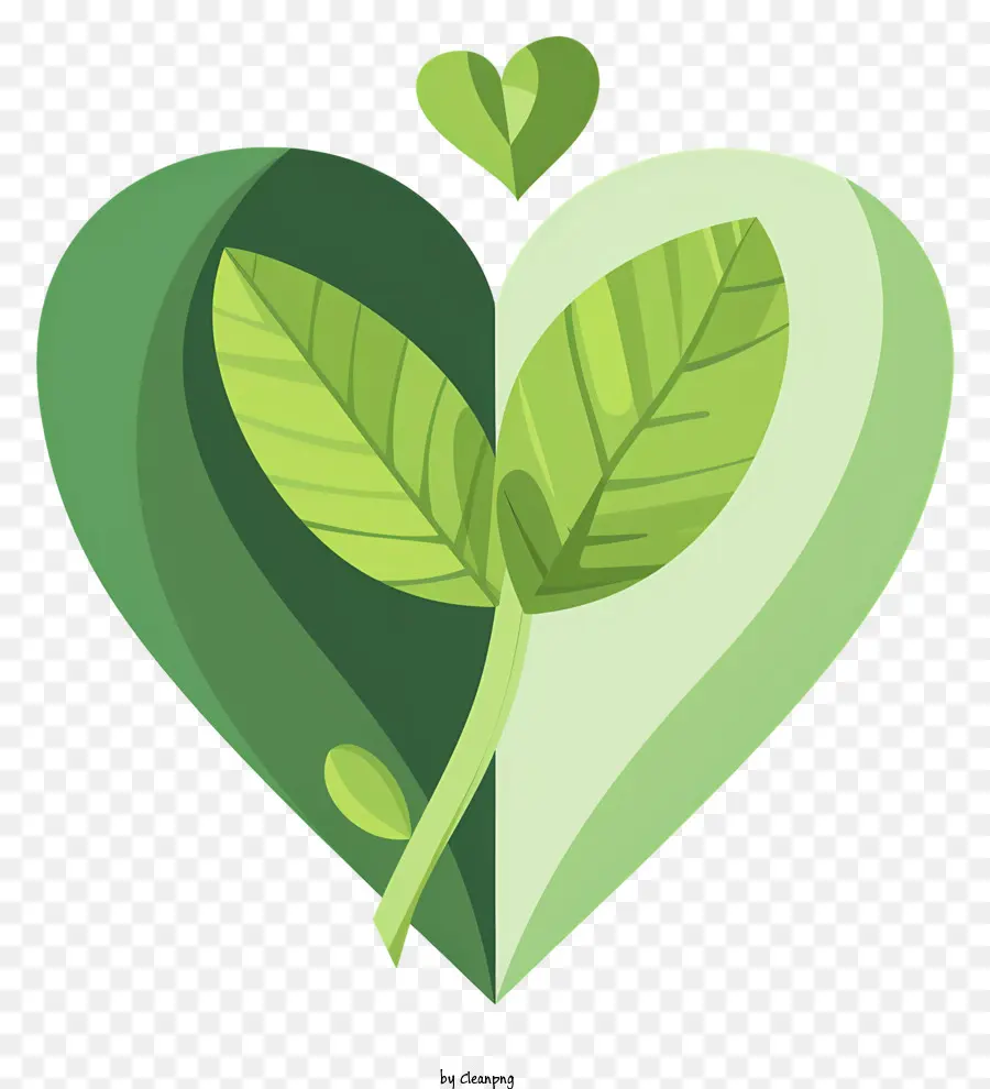 القلب الأخضر，ورقة على شكل قلب PNG