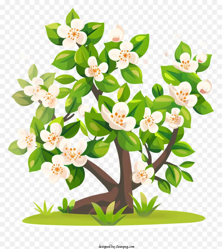 الربيع，شجرة PNG