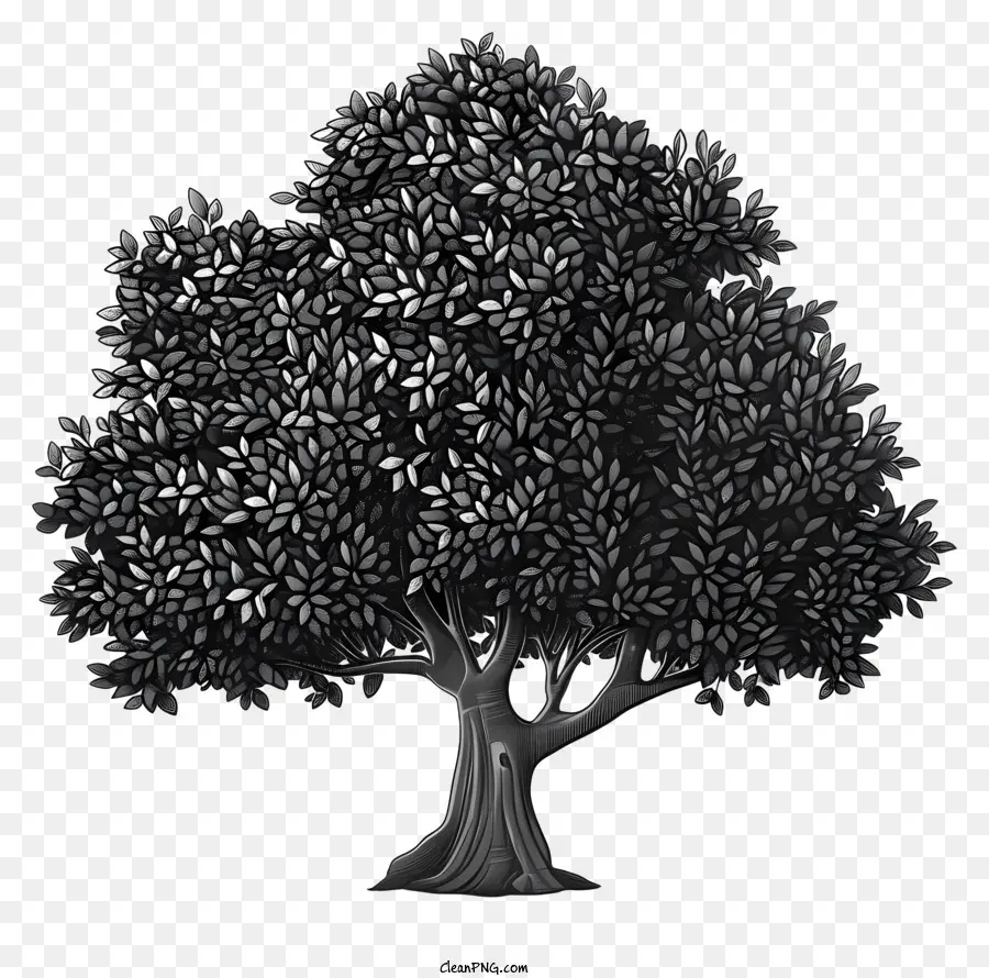 صورة ظلية شجرة，شجرة PNG