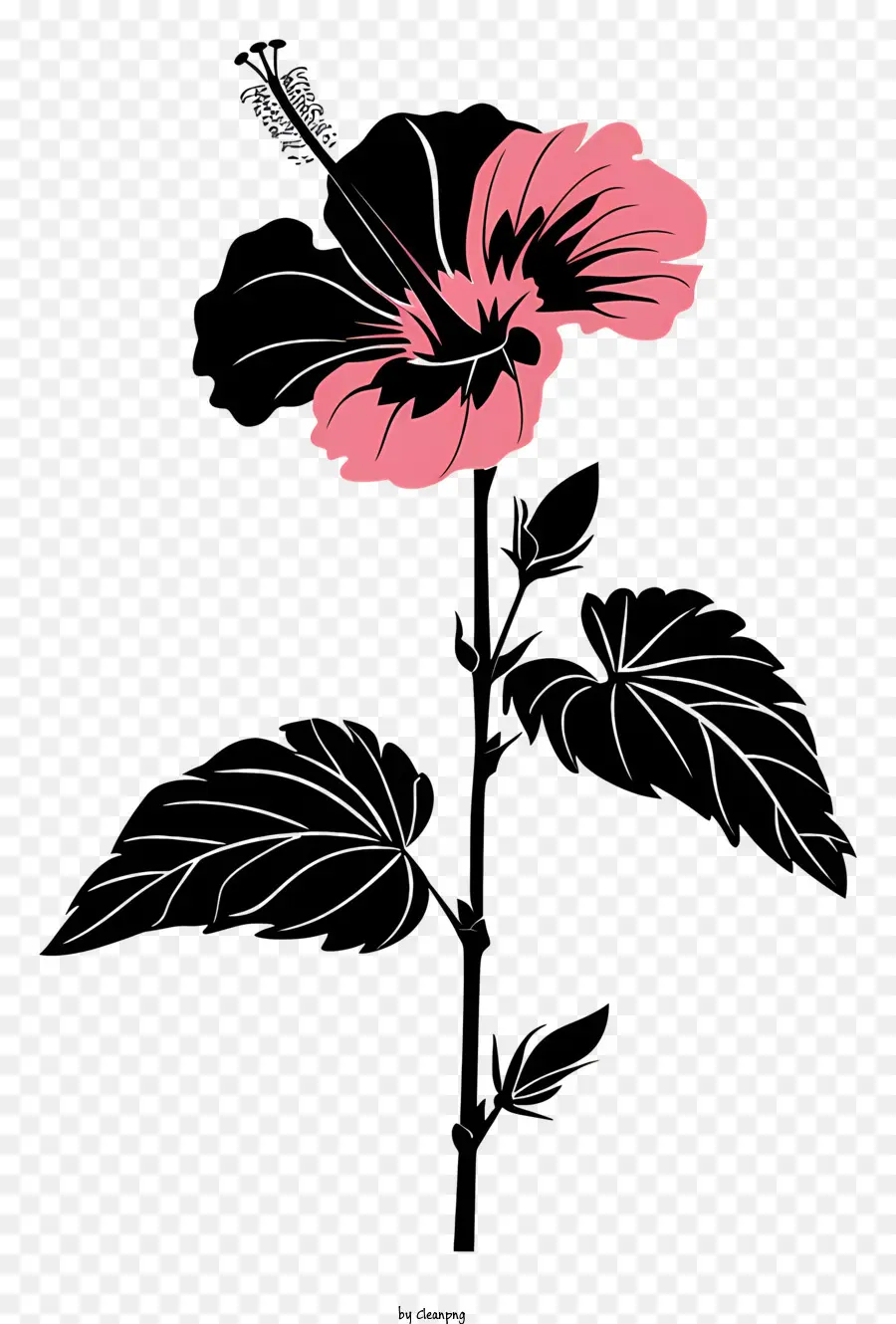 صورة ظلية زهرة，الوردي الكركديه PNG