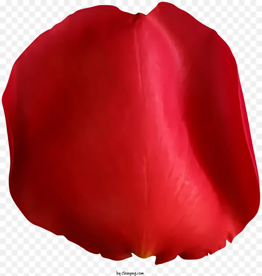الورود，وردة حمراء PNG