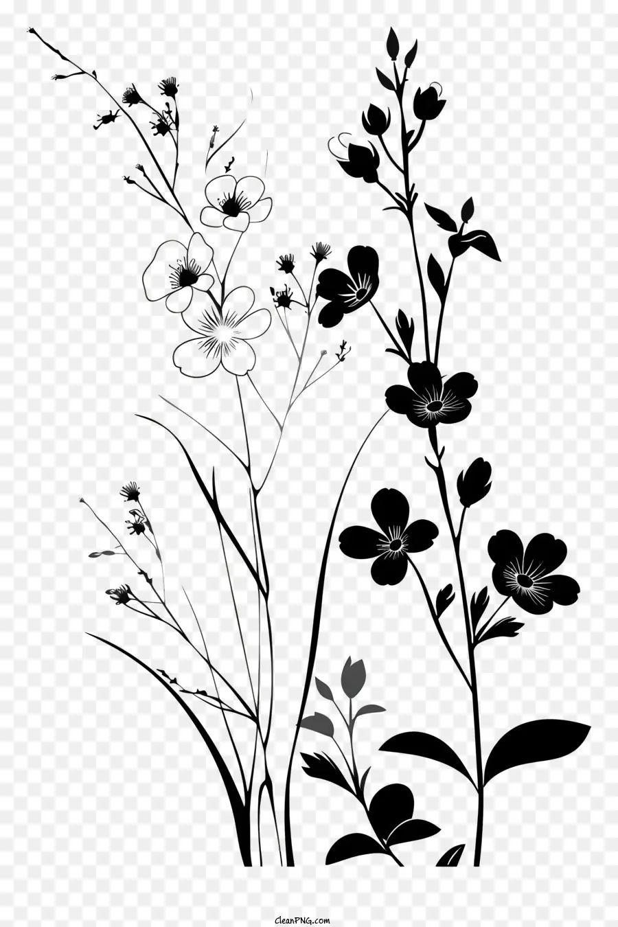 صورة ظلية زهرة，الزهور PNG