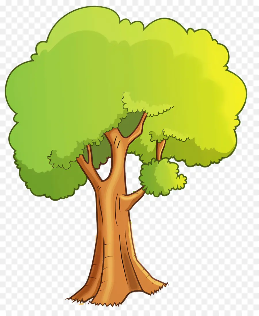 ورقة，شجرة PNG