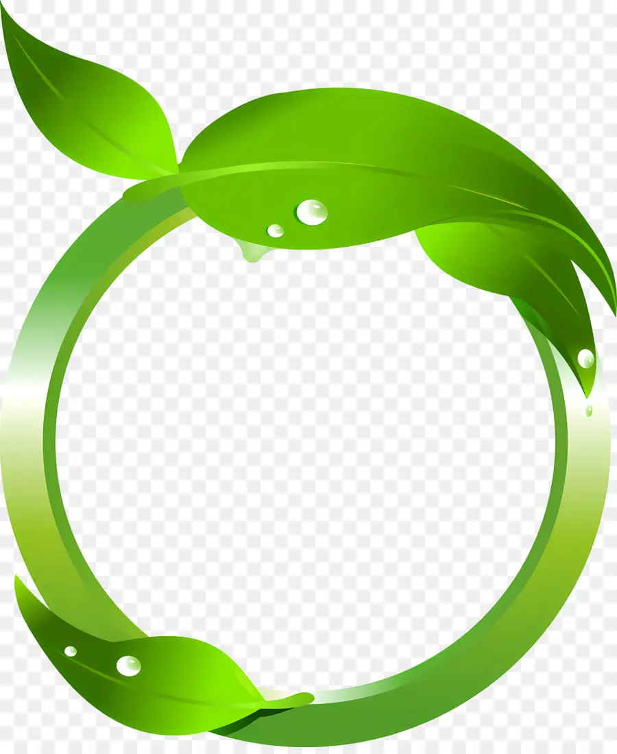 ورقة，دائرة خضراء PNG