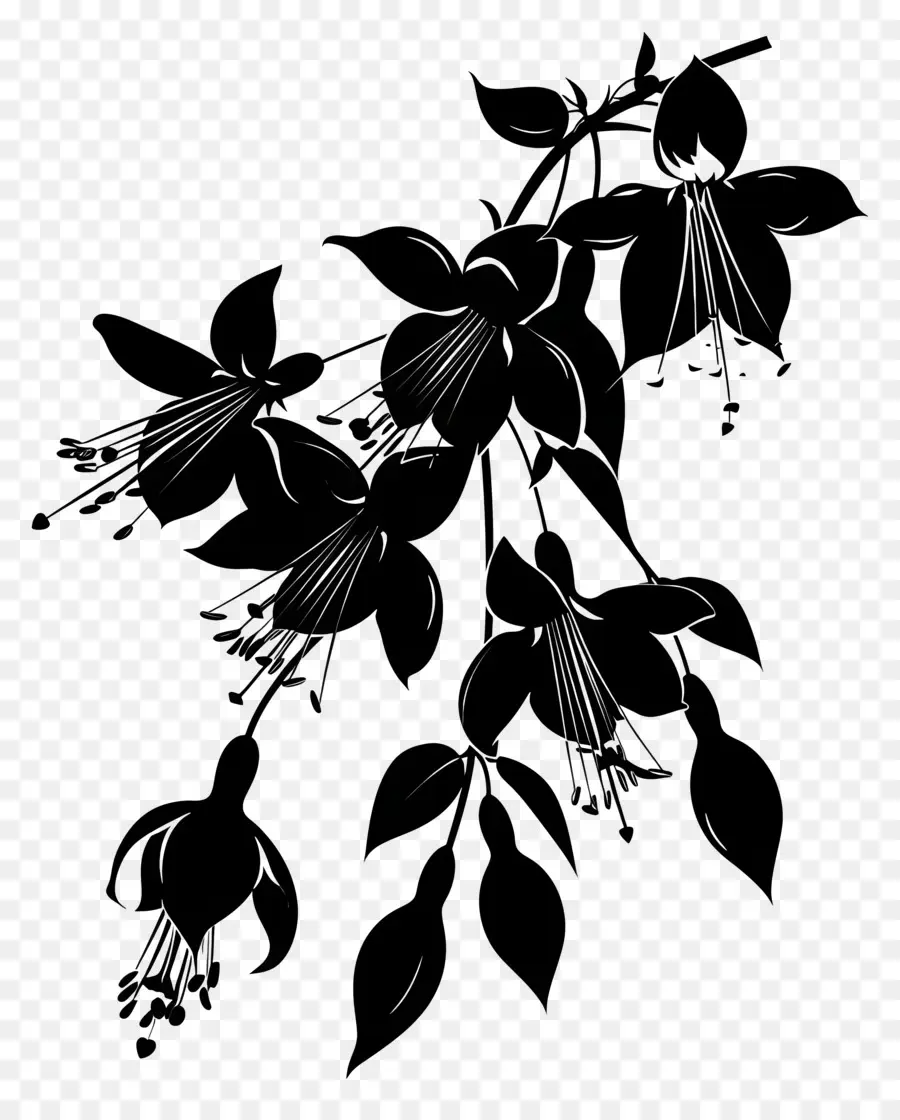 الزهور والصورة الظلية，صورة ظلية ، PNG