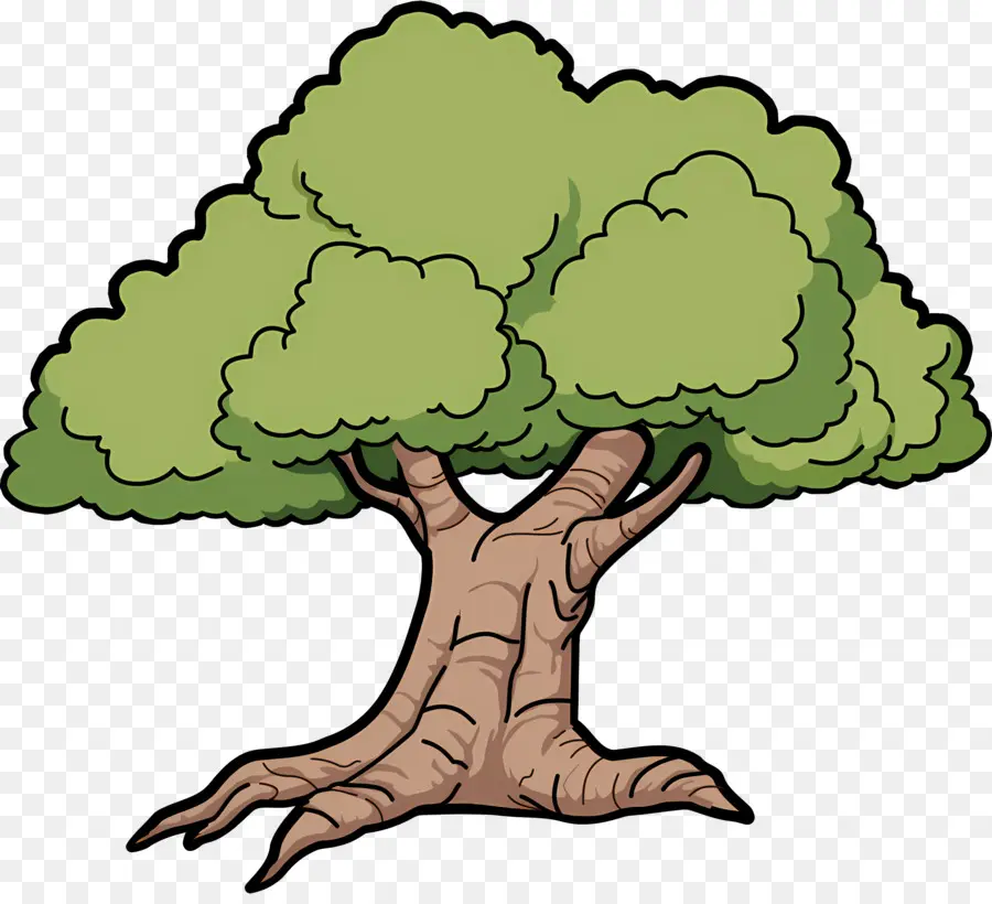 شجرة，فروع PNG