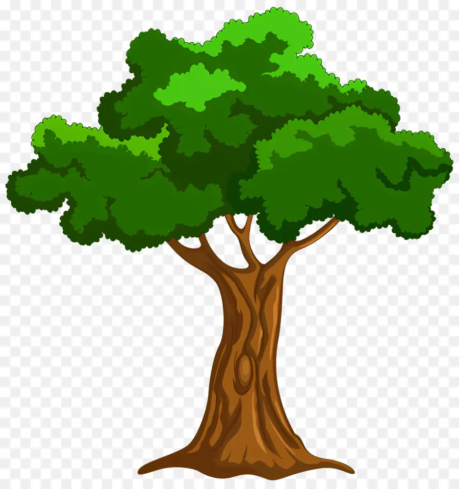 شجرة，الجذور PNG
