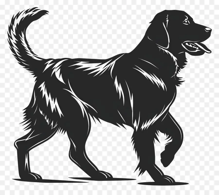 الكلب خيال，Black Labrador Retriever PNG