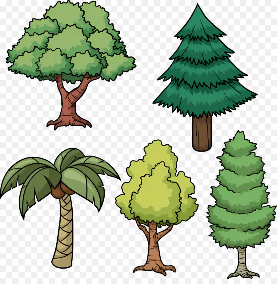 شجرة，الأشجار PNG