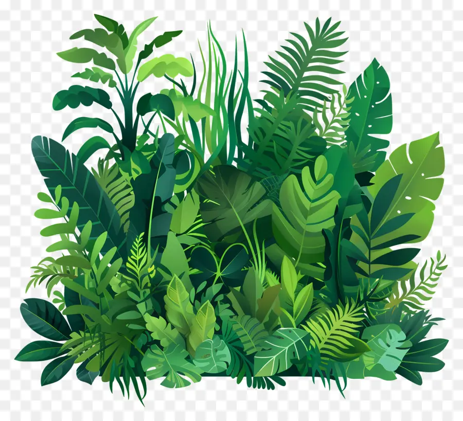 المساحات الخضراء المورقة，النباتات الخضراء PNG