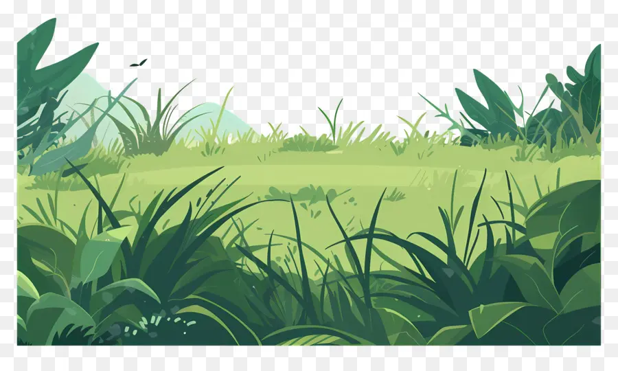حقل العشب，الغابات PNG
